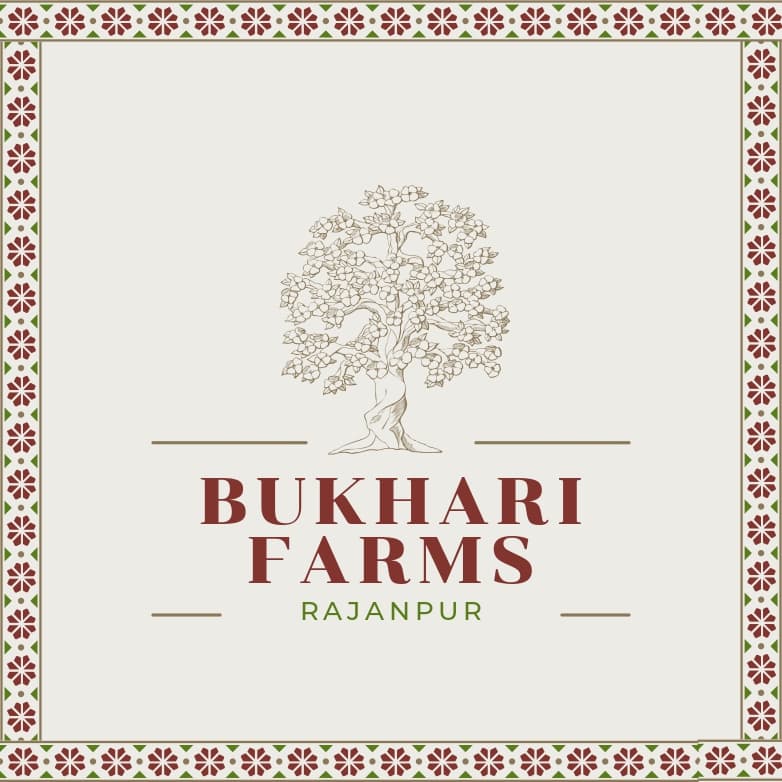 Bukhari Farms Rajanpur